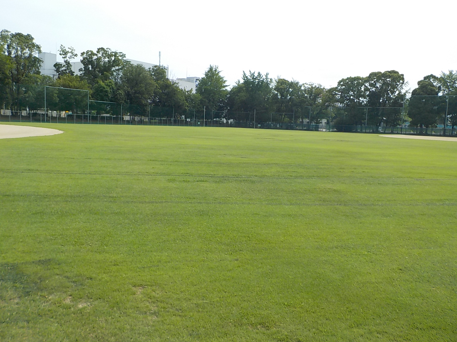 久宝寺緑地軟式野球場 大阪府サッカー協会 久宝寺緑地軟式野球場 大阪府サッカー協会